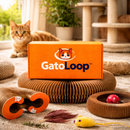 GatoLoop™ – Arranhador Interativo para Gatos