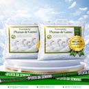 Nuvello™ – Travesseiro Premium Pluma de Ganso