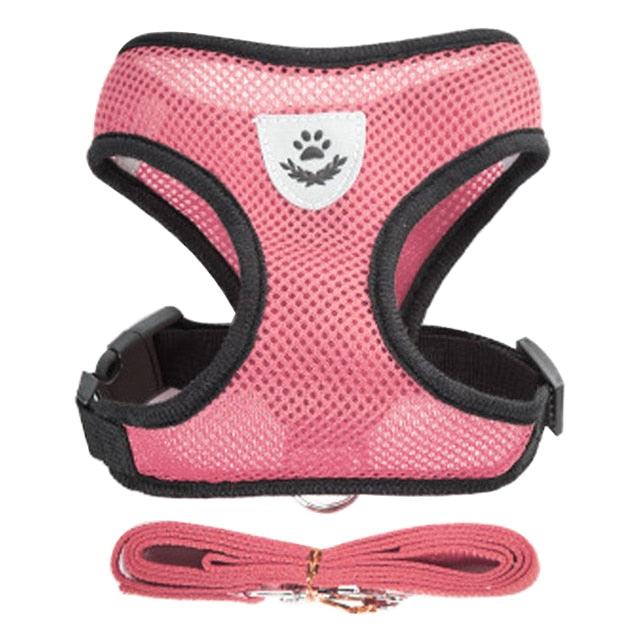 Coleira para cães e gatos Ajustável - StreetPet™